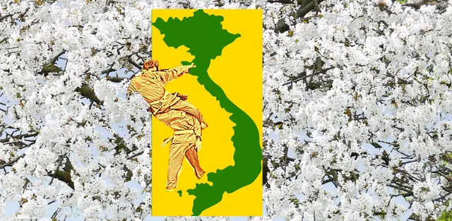 Amadeus - 1 Punkt - Vietnam / Vovinam