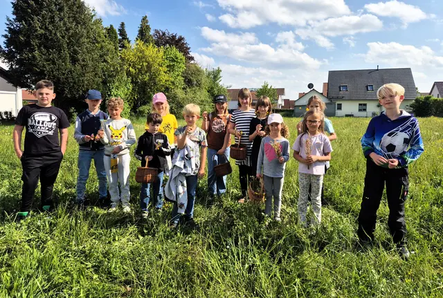 Kleine Wanderung über Blumenwiesen | Foto: Gartenbauverein Gablingen