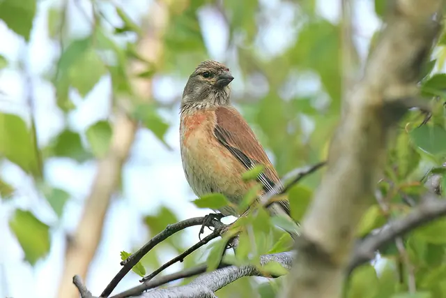 Foto: Copyright Andreas Schäfer