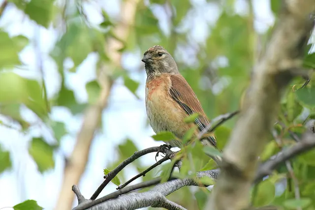 Foto: Copyright Andreas Schäfer