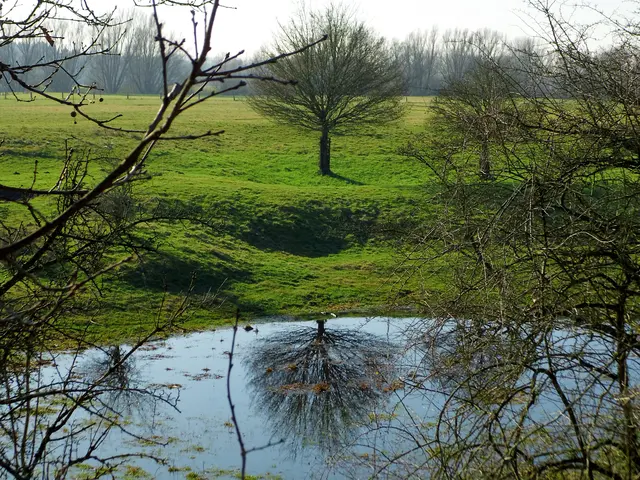 Landschaft Lippeaue in Wesel | Foto: Siegmund Walter, 14.02.2023, 11:39 Uhr