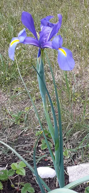 Foto: Iris Alefelder