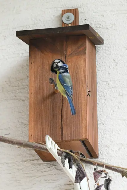 So der Schnabel ist erst mal gestopft.