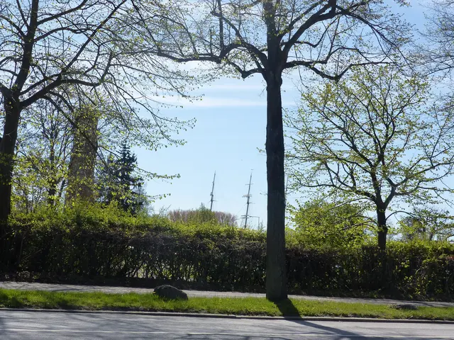 Leuchtturm und die Masten von der Passat | Foto: N. Käse