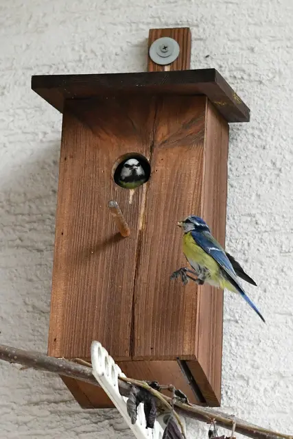 Hunger .... ich komme ja schon!!!