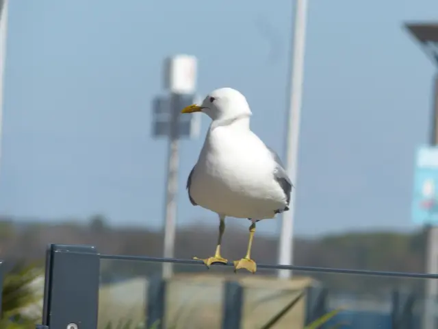 Foto: N. Käse