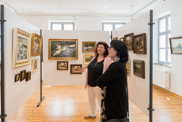 Verkauf von Bildern des Friedberg Malers und Häuserbauers Siegfried Hartl in der Friedberger Archivgalerie | Foto: FSeventfoto