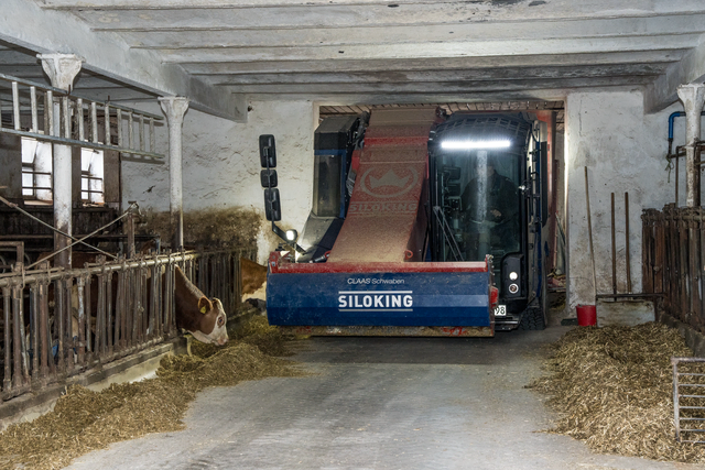 Wundermilch Eismannsberg: Fütterung der Milchkühe | Foto: FSeventfoto