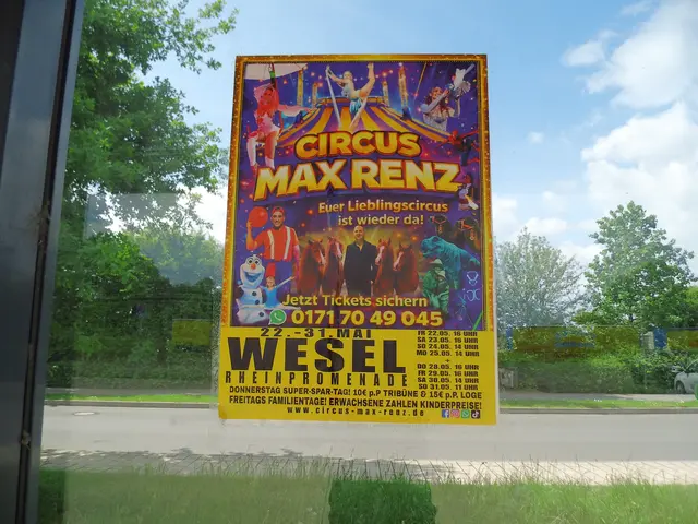 Großes Circus Werbeplakat in Bushaltestelle an der Rheinpromenade 78 auf Design-Glasscheibe mit breiten durchsichtigen Klebeband befestigt. | Foto: Siegmund Walter, 21.05.2026, 11:51 Uhr