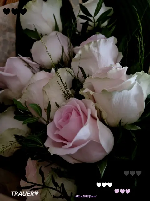 TRAUER Rosen♥

...für eine liebe gute Bekannte, 
die kürzlich, viel zu jung... verstorben ist
♥