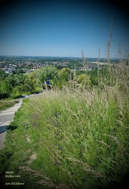 AUSSICHT