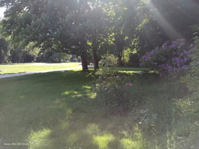 SONNE im Schloßpark E-Borbeck

MAI 2021