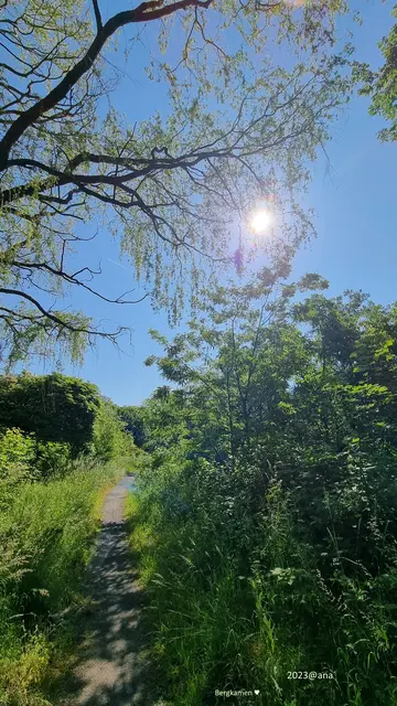 SONNE 
(LICHT am Ende des Tunnels?)