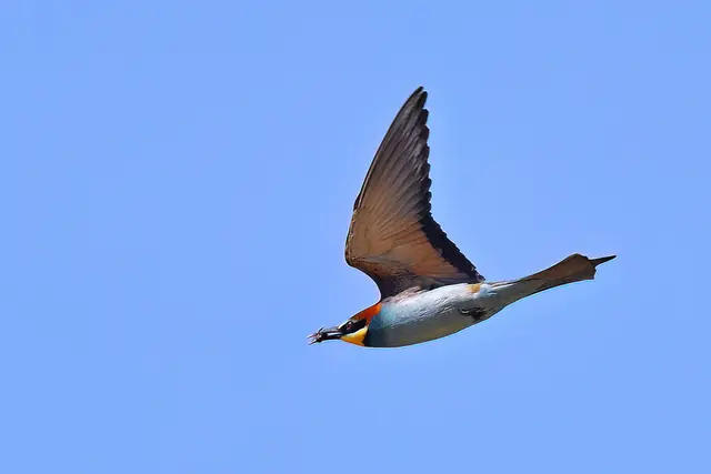 Foto: Copyright Andreas Schäfer