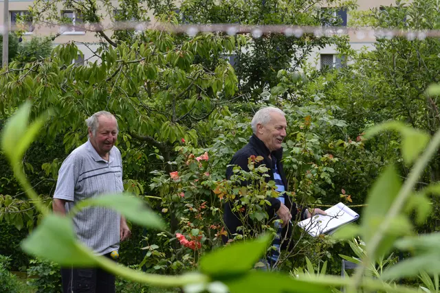 Ordnung muss sein
33 % Gemüse und Obst, Rasen und Blumen