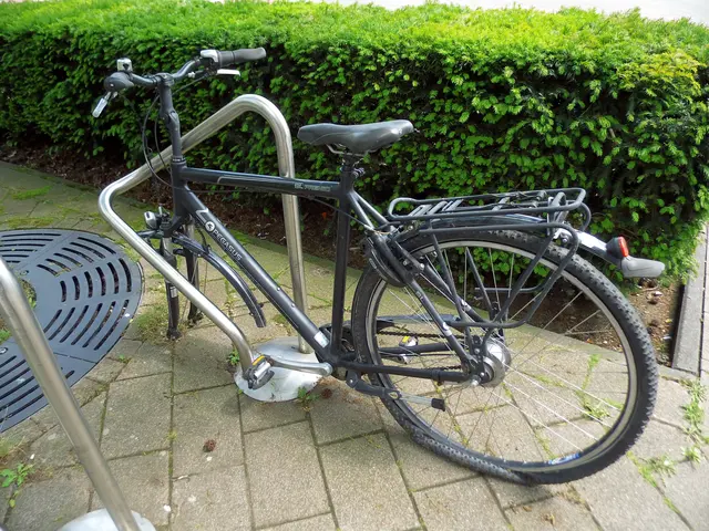 Pegasus Herrenfahrrad mit fehlendem Vorderrad und defekten Hinterrad, an Fahrradständer in Wesel an der Wilhelmstraße.
Sachstand: 21.05.2026 | Foto: Siegmund Walter, 21.05.2026, 13:35 Uhr
