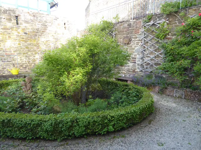 Rosengarten 2026-21, 24.01.2026.