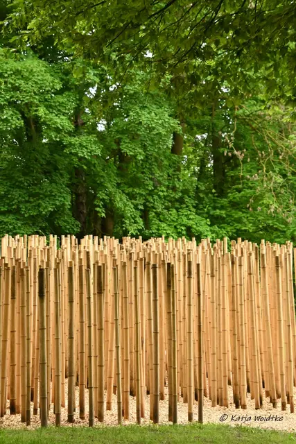 Landesgartenschau Niedersachsen (Foto: Katja Woidtke)

"Hier blüht Vielfalt" - LAGA '26 | Foto: Katja Woidtke