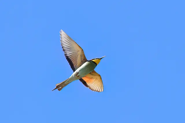 Foto: Copyright Andreas Schäfer