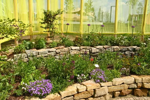 Landesgartenschau Niedersachsen (Foto: Katja Woidtke)

"Hier blüht Vielfalt" - LAGA '26 | Foto: Katja Woidtke