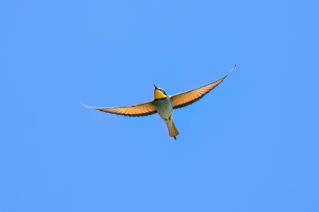 Foto: Copyright Andreas Schäfer