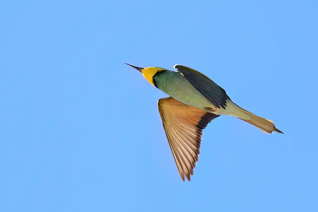 Foto: Copyright Andreas Schäfer