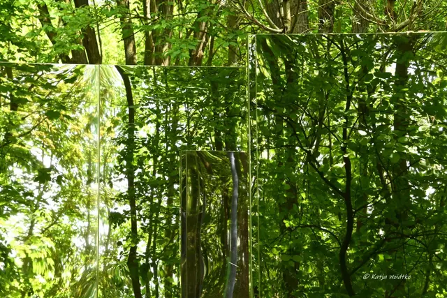 Landesgartenschau Niedersachsen (Foto: Katja Woidtke)

"Hier blüht Vielfalt" - LAGA '26 | Foto: Katja Woidtke