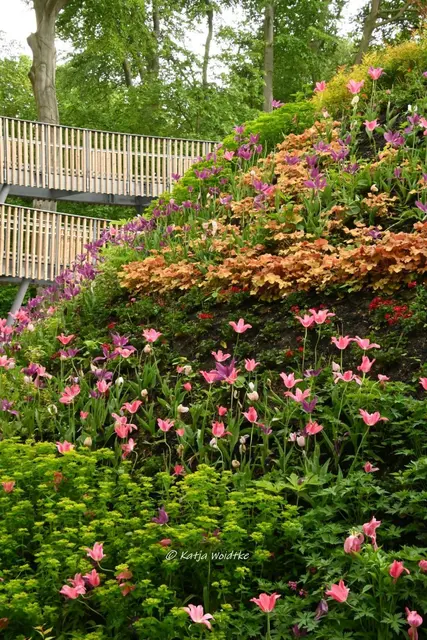 Landesgartenschau Niedersachsen (Foto: Katja Woidtke)

"Hier blüht Vielfalt" - LAGA '26 | Foto: Katja Woidtke