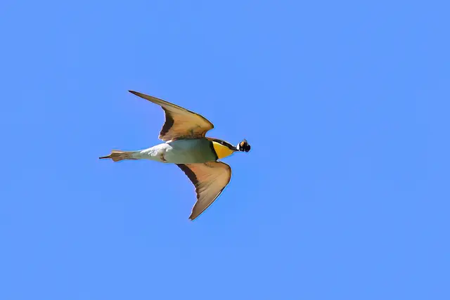 Foto: Copyright Andreas Schäfer