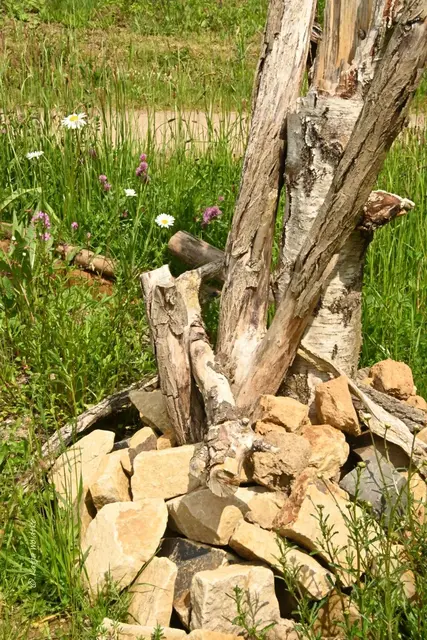 Landesgartenschau Niedersachsen (Foto: Katja Woidtke)

"Hier blüht Vielfalt" - LAGA '26 | Foto: Katja Woidtke
