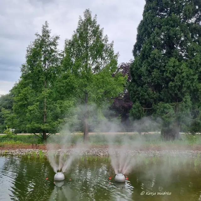 Landesgartenschau Niedersachsen (Foto: Katja Woidtke)

"Hier blüht Vielfalt" - LAGA '26 | Foto: Katja Woidtke