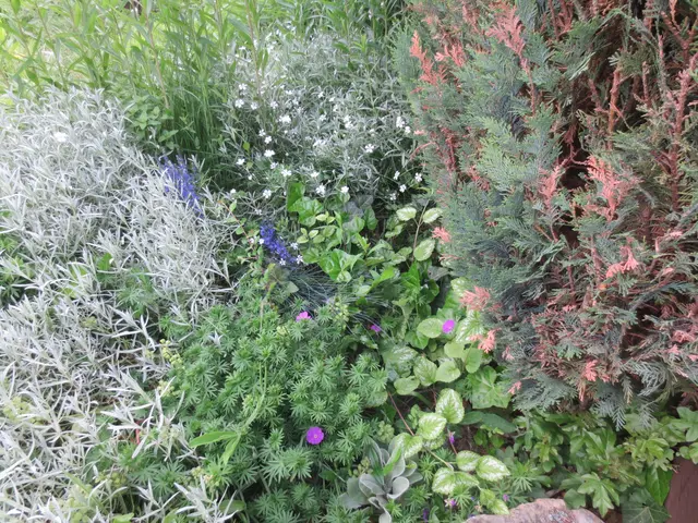 Gartenanlage