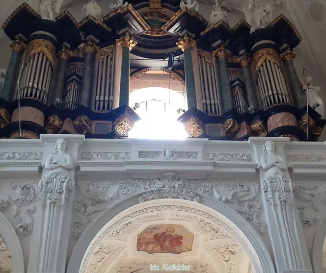 Orgel | Foto: Iris Alefelder