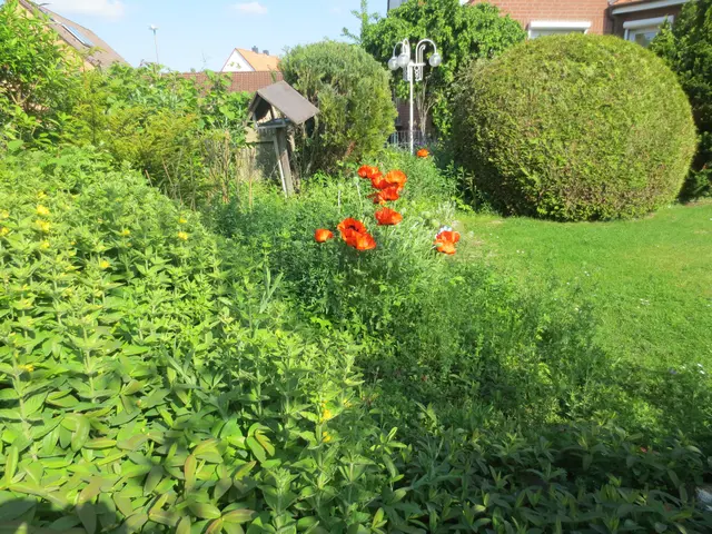 Ein Blick von der anderen Seite