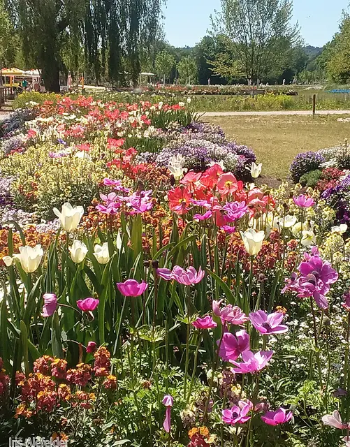 Foto: Iris Alefelder