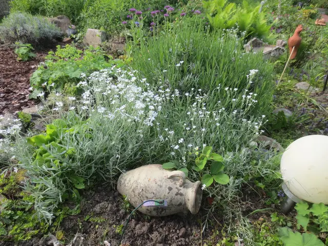 Gartenanlage