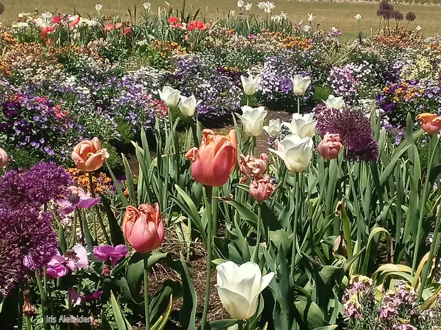 Foto: Iris Alefelder