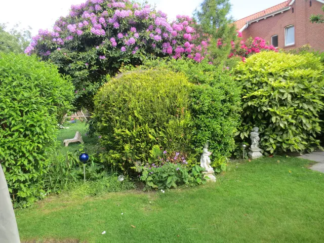 Blick in den Nachbarsgarten