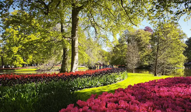 Wunderschöne Parklandschaft | Foto: Shima Mahi