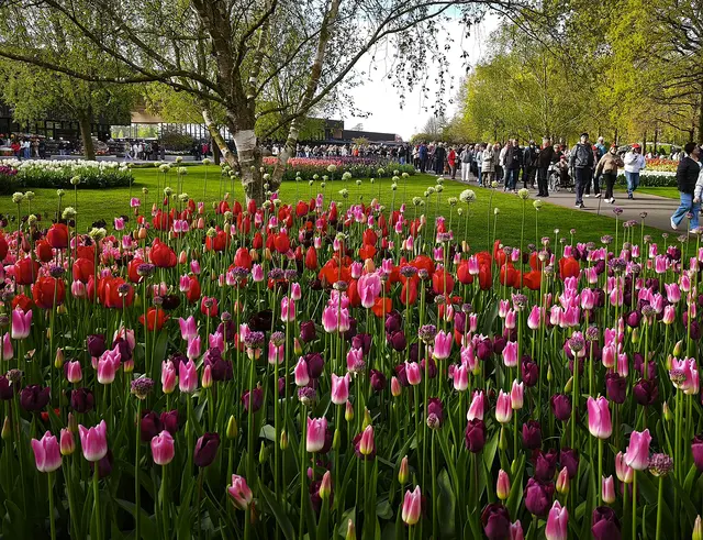 Sehr viele Menschen besuchen den Keukenhof. | Foto: Shima Mahi