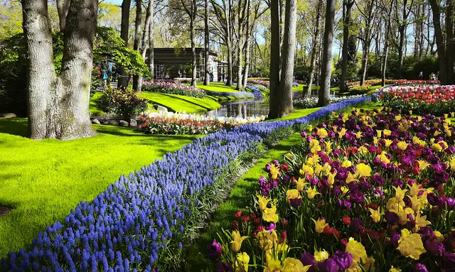 Wunderschöne Parklandschaft | Foto: Shima Mahi