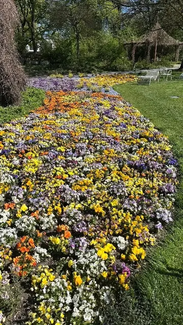 Zum Abschluss ihres Projektes "Wiese", machten die kleinen Naturforscher/innen der Waldgruppe einen Ausflug in den botanischen Garten Augsburg. 