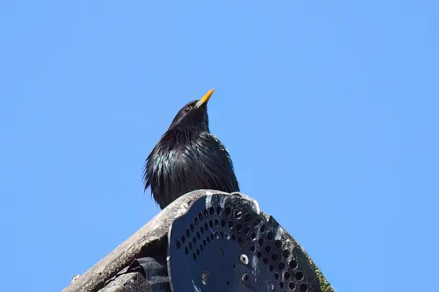 Foto: Copyright Andreas Schäfer