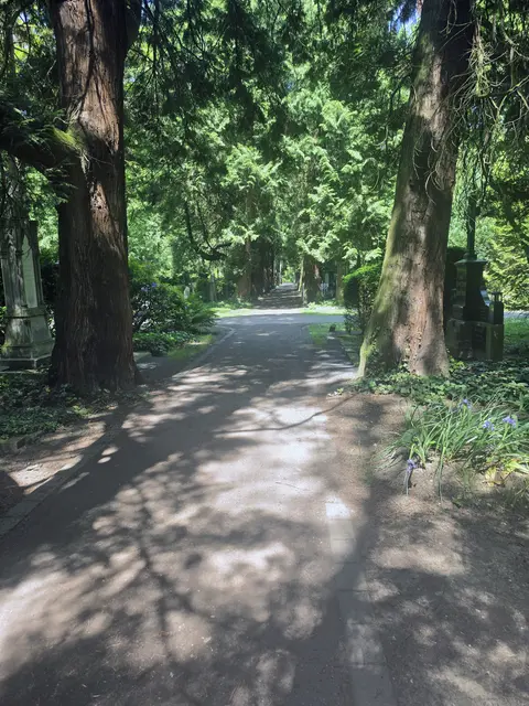 Der Melatenfriedhof ist auch ein Ort der Ruhe und Erholung.