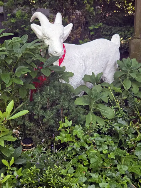 Auf dem Kölner Friedhof dürfen natürlich 2 Themen nicht fehlen. Der 1.FC Köln mit Maskottchen Hennes , dem Geißbock und der kölsche KarnevaL. Viele Karnevalsgrößen (Willi Ostermann, Marie-Luise Nikuta, Willy Millowitsch u.v.a..) fanden ebenfalls auf dem Melaten ihre letzte Ruhestätte.
