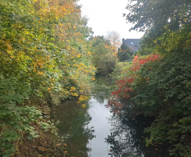 Stadtpark von Rheinberg | Foto: Astrid Günther