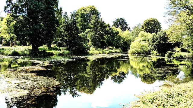 Kurpark Mölln