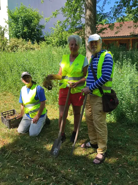 Einpflanzen der Blumenzwiebeln v.l. Katjana, Claudia, Jürgen | Foto: Foto Claudia Wegele