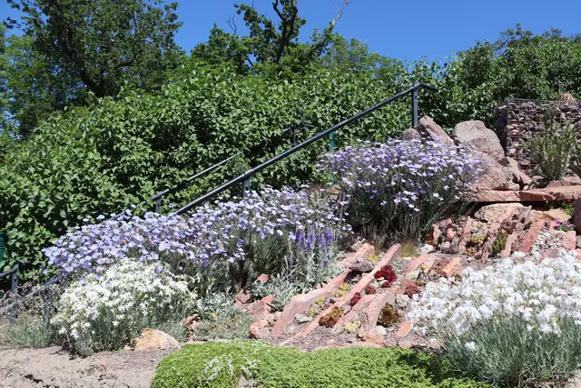 hellblauer Lein