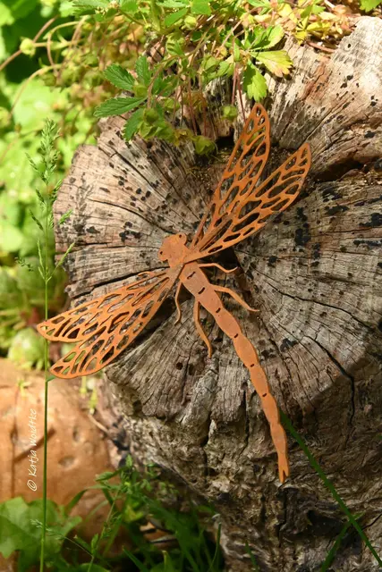 Garten im Jahreslauf (Foto: Katja Woidtke)

Kleines Krabbeln im "Mähfreien Mai" - Gartendeko am Totholz | Foto: Katja Woidtke